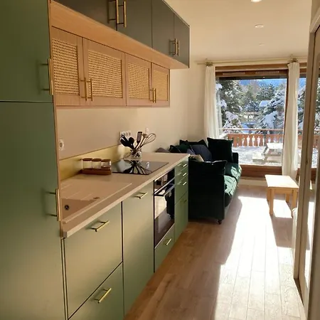 Pieds Des Pistes, 2 Alpes, Avec Très Grande Terrasse * Les Deux Alpes